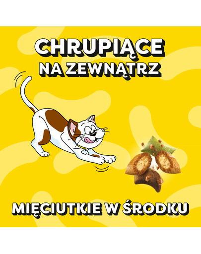 DREAMIES Shake Ups Multivitamins Chrupiące przysmaki dla kota Smaki z paki 55 g